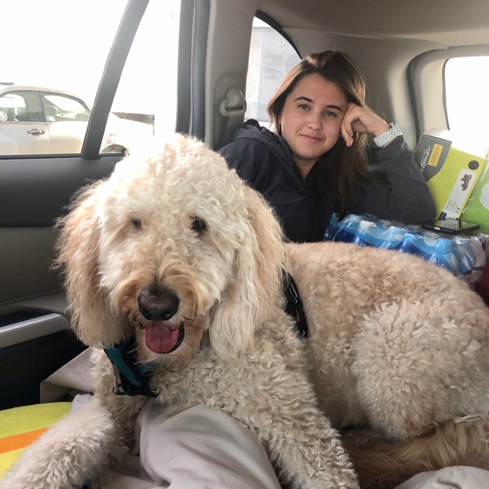 Meet your Posher, Morghan